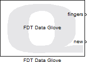 FDT Data Glove