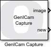 GenICam Capture