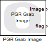 PGR Grab Image