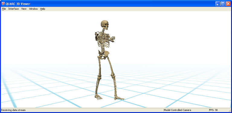 QUARC Visualization Skeleton Walking Demo Viewer Window