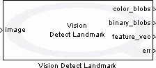 Vision Detect Landmark